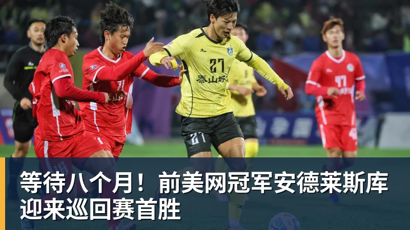 等待八个月！前美网冠军安德莱斯库迎来巡回赛首胜